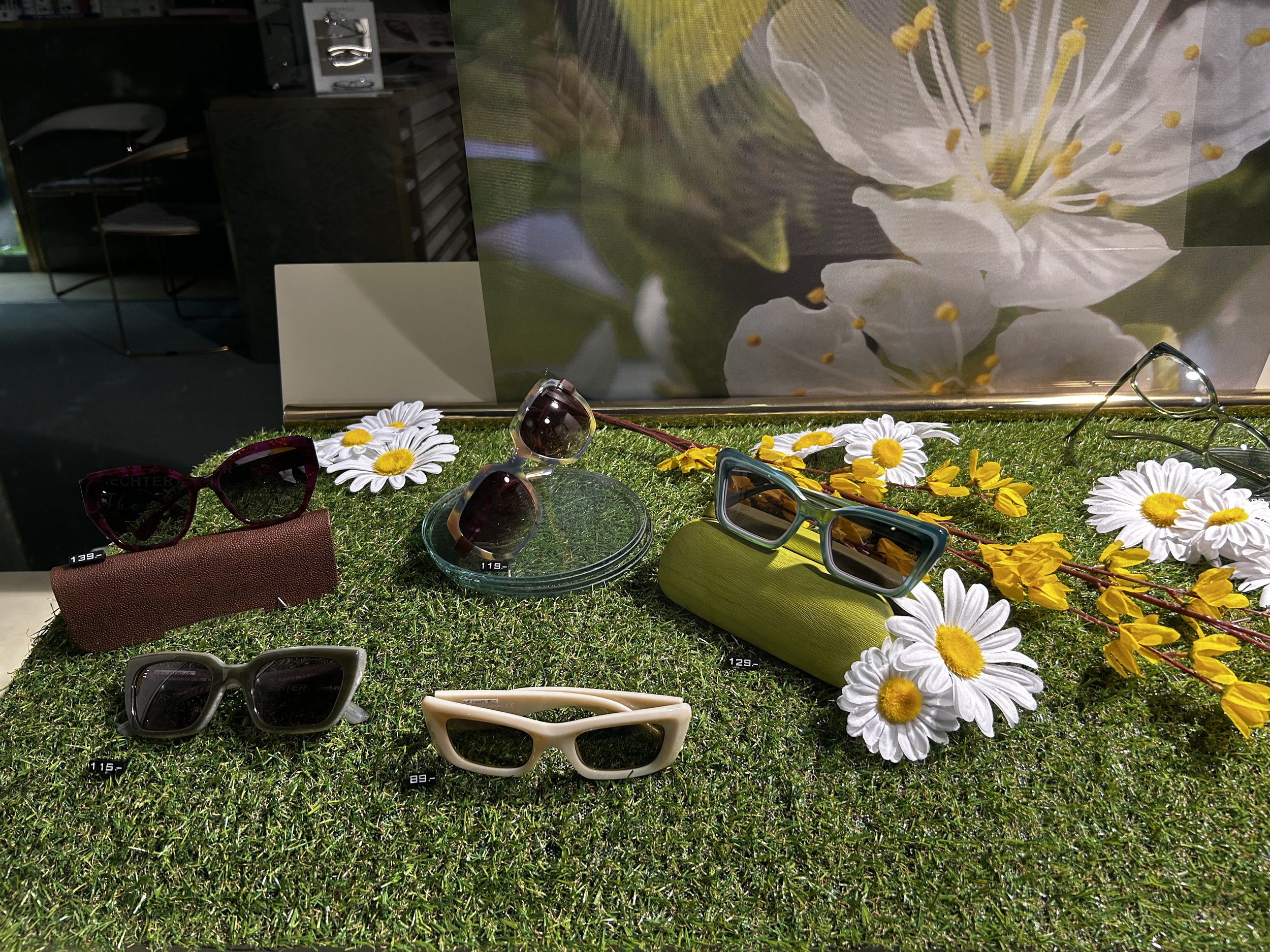 Augenoptik-Bender-Schwanheim-Deko 2026 - Frühling - Brillen - Optiker
